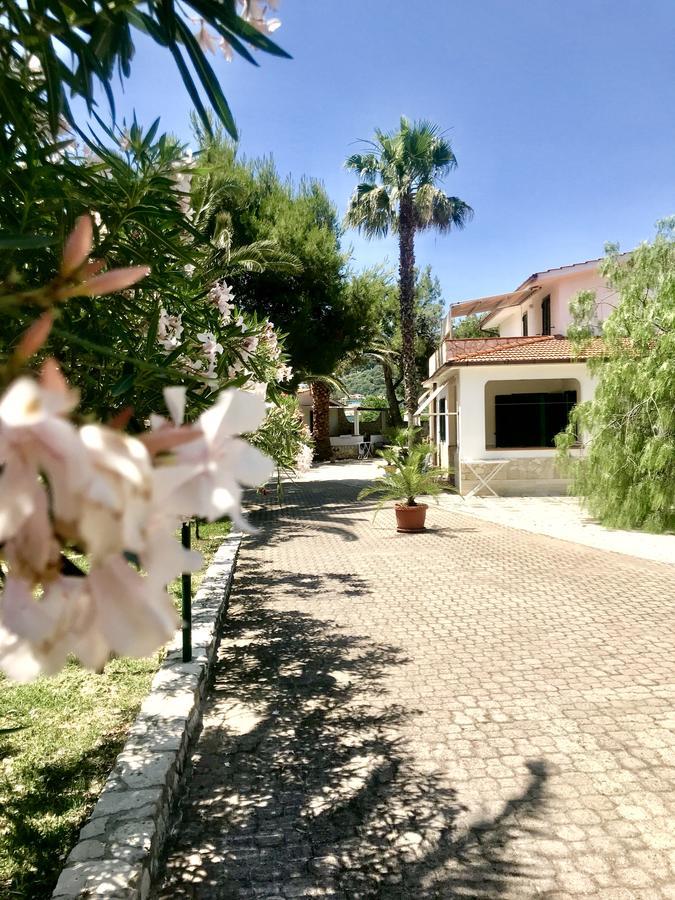 Residence Palm Garden ヴィエステ エクステリア 写真